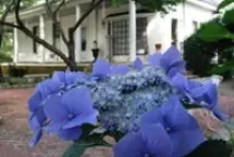 Photograph of Rocky Mount B&B, Prattville