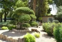 Photograph of Smoke Tree Resort and Bungalows, Paradise Valley