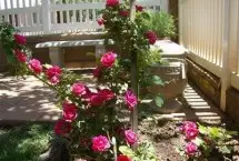 Photograph of Violet Rose Bed And Breakfast, Winslow