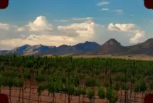 Photograph of La Hacienda De Sonoita, Sonoita