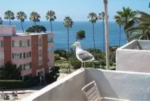 Photograph of La Jolla Inn, La Jolla