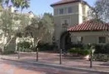 Photograph of Pidgeon At Costa Verde, San Diego