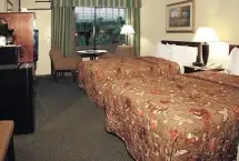 Photograph of The Avenue Hotel,