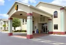 Photograph of Super 8, Mulberry