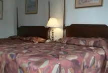 Photograph of Tim Hornes Hospitality Inn, Marietta