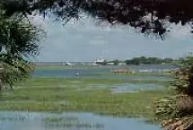 Photograph of Bluebird B&B, Tybee Island