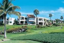 Photograph of Palms At Wailea, 