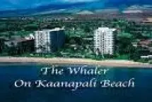 Photograph of Whaler On Kaanapali Beach, 