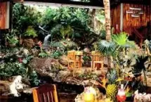 Photograph of Marriott Kauai Resort And Beach Club,