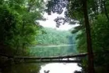 Photograph of Greenbo Lake State Resort Park, Greenup