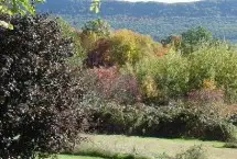 Photograph of Park Street Bed And Breakfast, Easthampton