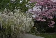 Photograph of Shining Dawn Bed and Breakfast, Hanover