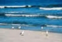 Photograph of Affordable Family Resort, Myrtle Beach