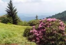 Photograph of Roan Mountain State Park, Roan Mountain