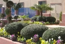 Photograph of Comfort Inn,