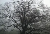 Photograph of Red Corral Ranch, Wimberley
