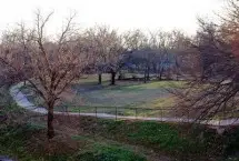 Photograph of River Rock Bed And Breakfast, Cleburne