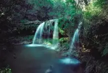 Photograph of Los Madrones, Dripping Springs