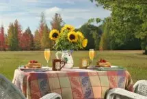 Photograph of Fall Farm, Mineola