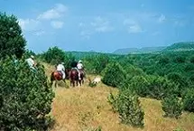Photograph of Running R Ranch, Bandera