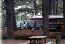 Photograph of North Bay Shore Family Campground, Virginia Beach