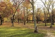 Photograph of Lake Fairfax Park Campground, Reston