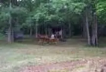 Photograph of Kissing Rock Camp - Looney Cabin, Sugar Grove