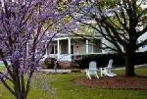 Photograph of Lady Rockingham The Garden Gate Inn, Elkton