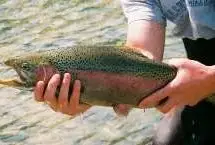 Photograph of The Hatch - A B&B for Fly Fishermen, Edinburg