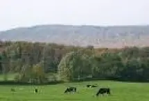 Photograph of Middlebury Bed And Breakfast, Middlebury