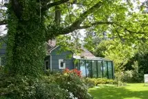 Photograph of The Maple Tree, Edmonds