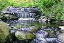 Photograph of Waterfall Gardens Private Suites, Bainbridge Island