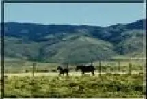 Photograph of Horseback Adventures, Saratoga