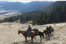 Photograph of Triple Three Ranch, Buffalo