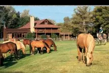 Photograph of Vee Bar Guest Ranch, Laramie