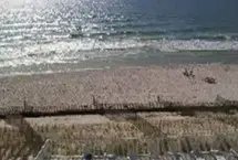 Photograph of TradeWinds by Sugar Sands Realty, Orange Beach