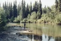Photograph of Riverside Camper Park, Wasilla