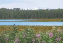 Photograph of Edgewater Lodge & RV Park, Soldotna