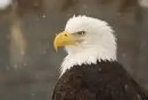 Photograph of Eagle's Roost RV Resort, Lake Park