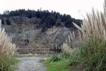 Photograph of River's Edge RV Park, Rio Dell