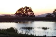 Photograph of Indian Hill Ranch & RV Park, Tehachapi
