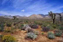 Photograph of Desert Trails RV Park & Golf Course, El Centro