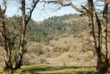 Photograph of Willits - Ukiah KOA Family Camping Resort, Willits