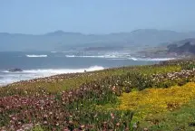 Photograph of Her Castle Homestay B&B Inn, Cambria