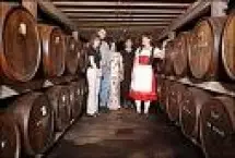 Photograph of Wiederkehr Wine Cellars, Wiederkehr Village