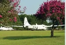 Photograph of Georgia Veterans State Park, Cordele