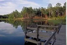 Photograph of General Coffee State Park, Nicholls