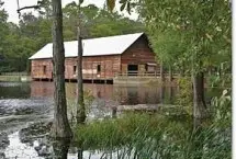 Photograph of George L. Smith State Park, Twin City