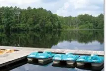 Photograph of Gordonia - Alatamaha State Park, Reidsville
