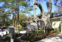 Photograph of River's End Campground & RV Park, Tybee Island